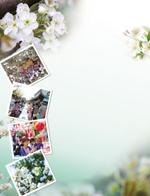 往届梨花节的精彩瞬间 供图 往届梨花节的精彩瞬间 供图