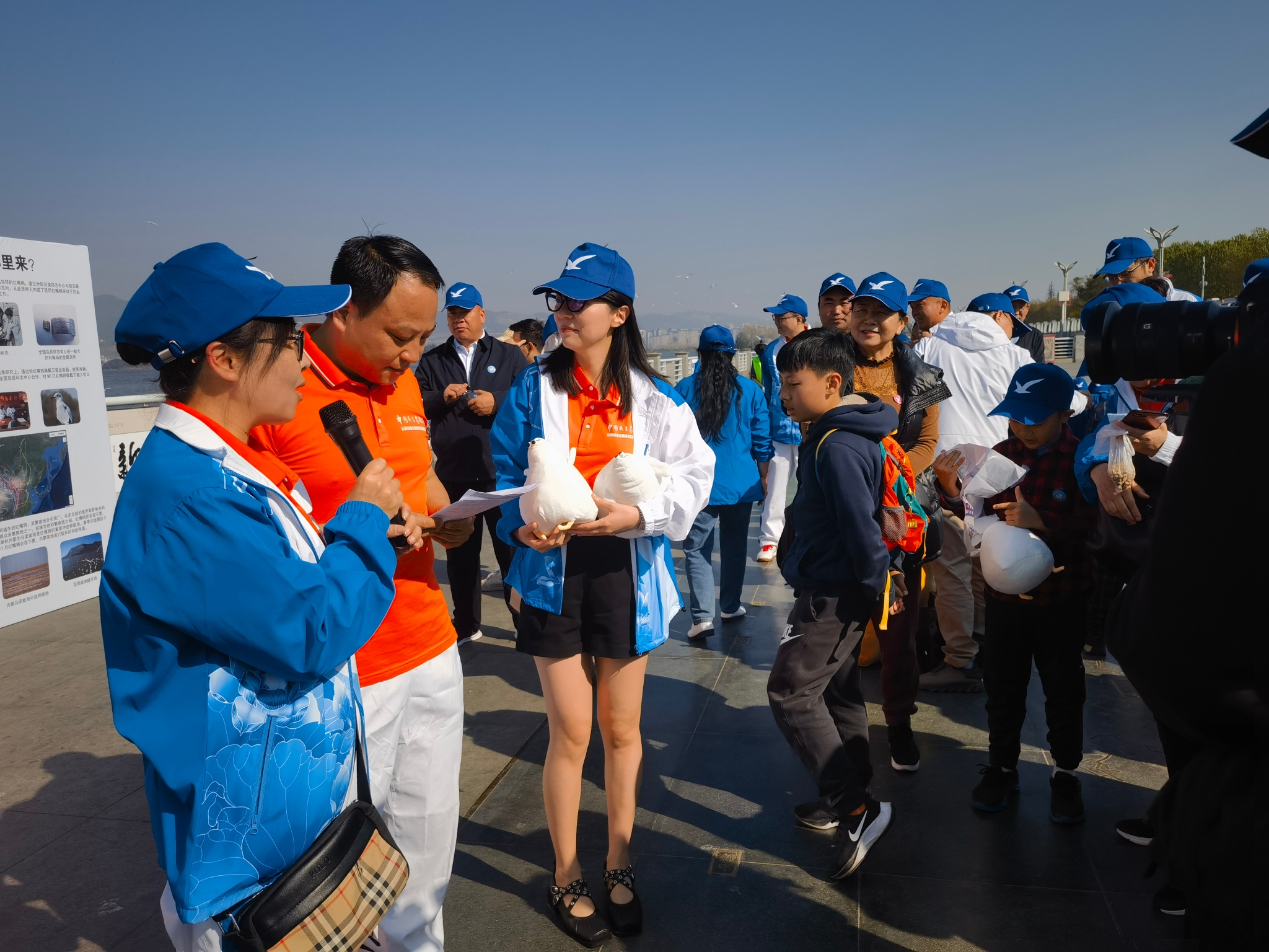 半数红嘴鸥已离昆翠湖环西桥等地鸥粮销售点已撤