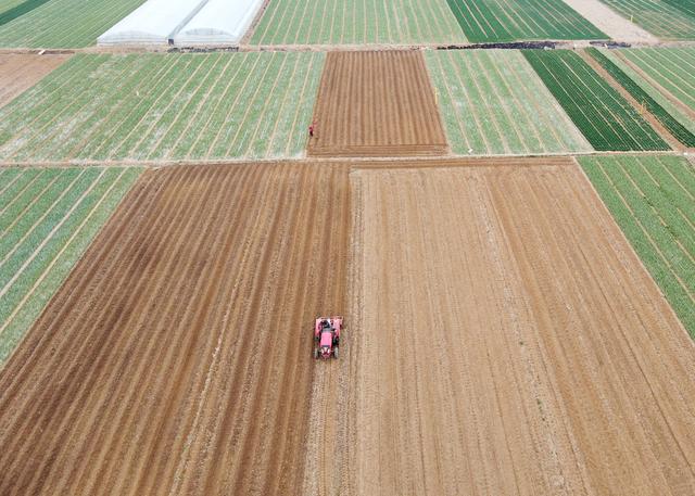 3月18日,山东省临沂市平邑县地方镇农民驾驶农机翻耕土地(无人机照片)