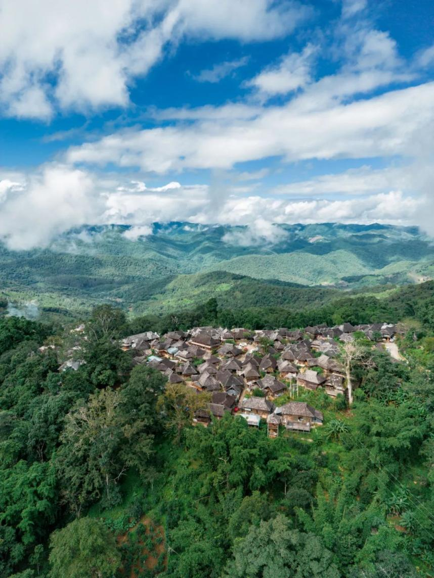 为更深入了解普洱茶,每年都会有大批茶人奔赴云南各大茶山开展"茶山行