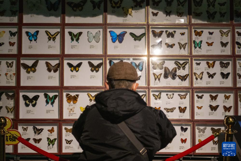 世界森林日探访中国哈尔滨森林博物馆