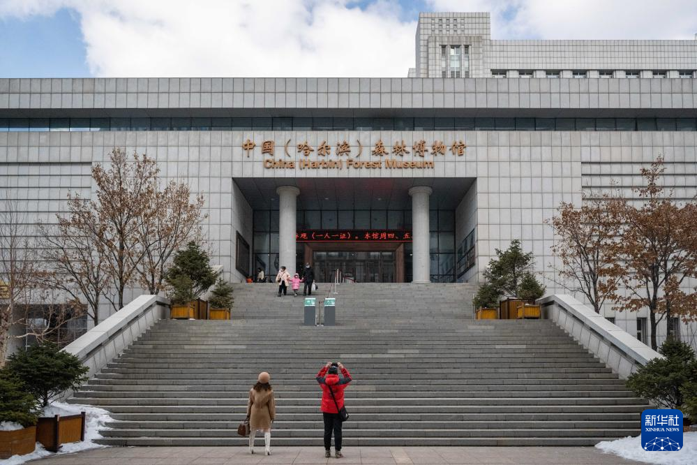 世界森林日探访中国哈尔滨森林博物馆