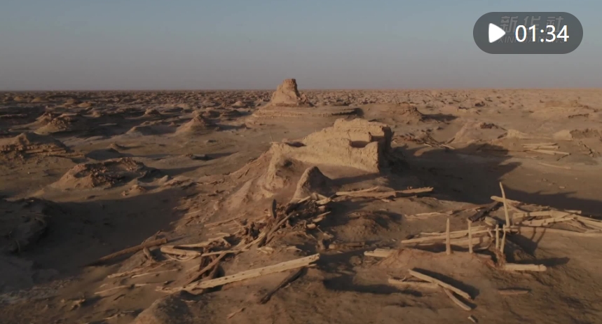 微信截图_20240325083508