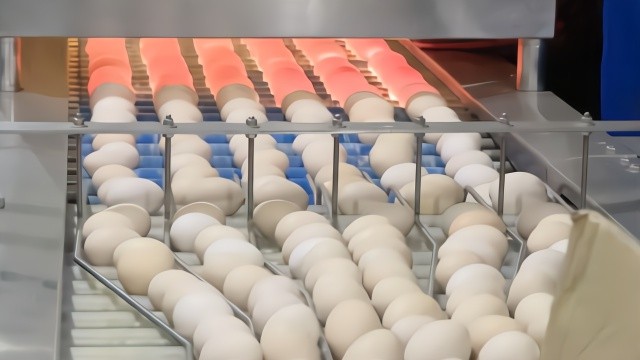 鸡蛋上有一样东西很脏,不注意小心“病从口入” 鸡蛋上有一样东西很脏,不注意小心“病从口入”