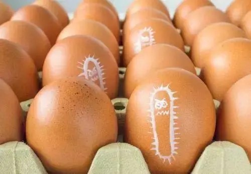 鸡蛋上有一样东西很脏,不注意小心“病从口入” 鸡蛋上有一样东西很脏,不注意小心“病从口入”