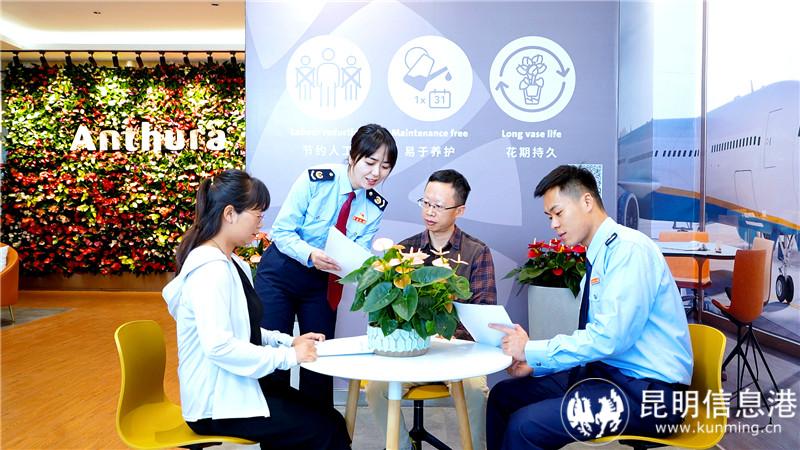 嵩明县税务局依托“税路通·云牵南域”服务品牌，前往昆明安祖花园艺有限公司，通过“送政策”“优服务”助力外资企业走“一路生花”（田尧 摄） (3)