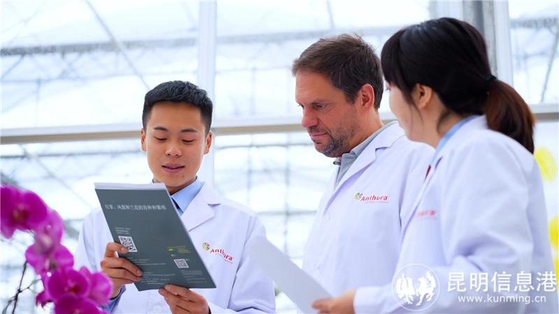 嵩明县税务局依托“税路通·云牵南域”服务品牌，前往昆明安祖花园艺有限公司，通过“送政策”“优服务”助力外资企业走“一路生花”（田尧 摄） (4)