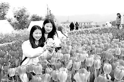 “国韵”悠长,国潮何以成热潮 “国韵”悠长,国潮何以成热潮