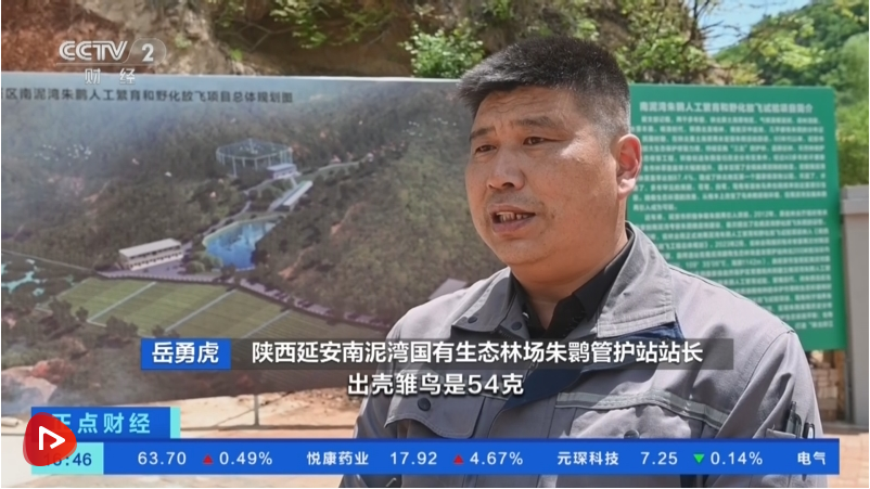 多组数据释放积极信号 中国经济高质量发展行稳致远