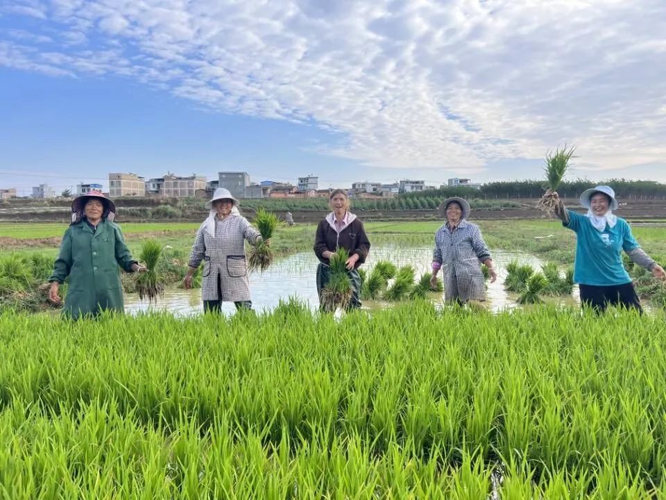 走进砚山县江那镇郊址社区兴隆村,村民正在田间忙碌着,有的在田间翻耕