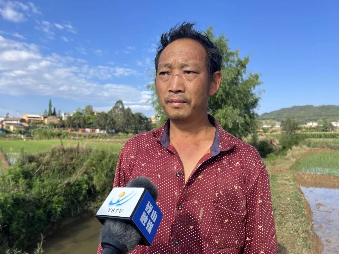 走进砚山县江那镇郊址社区兴隆村,村民正在田间忙碌着,有的在田间翻耕