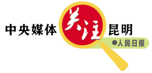 13301715539666761 13301715539666761