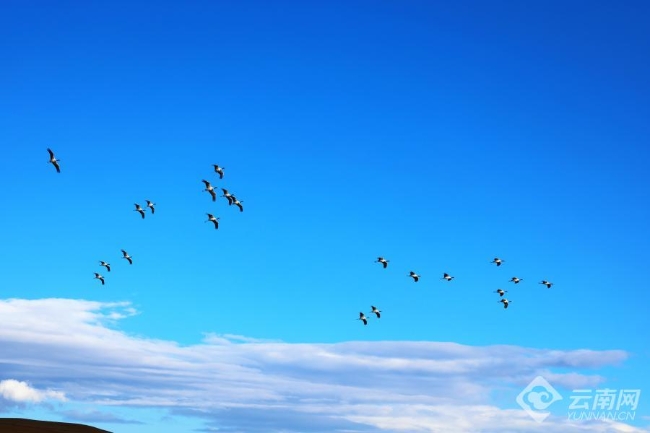 00306207764_64658b03 00306207764_64658b03