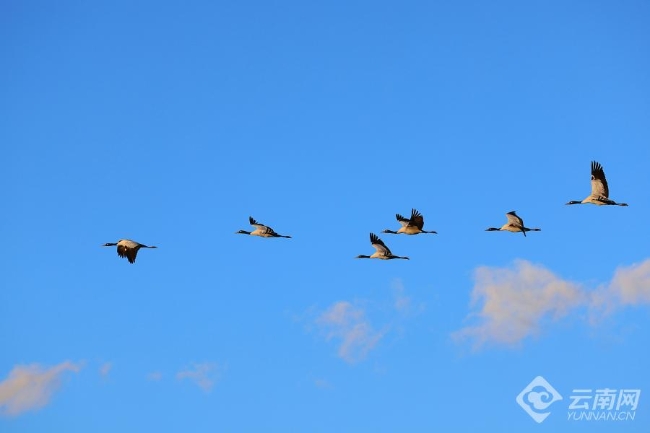 00306207769_56dec188 00306207769_56dec188