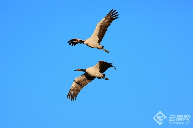 00306207771_aa700717 00306207771_aa700717