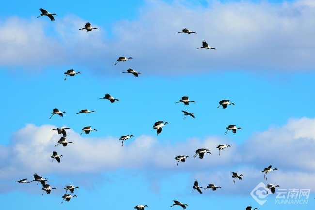 00306207772_25890efd 00306207772_25890efd