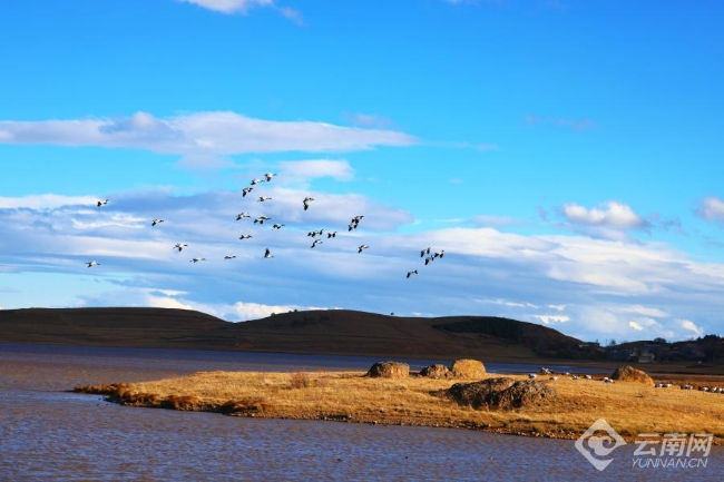 00306207781_b7490f4d 00306207781_b7490f4d