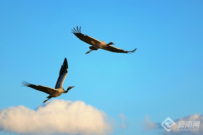 00306207784_7e48b560 00306207784_7e48b560