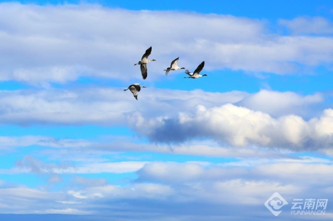 00306207787_b9fb348c 00306207787_b9fb348c