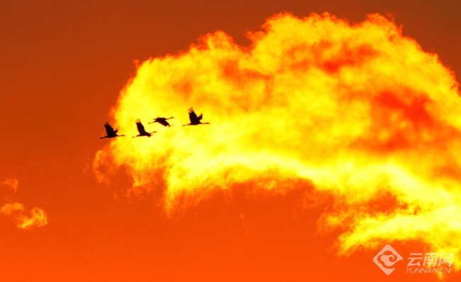 00306207788_d02f1885 00306207788_d02f1885