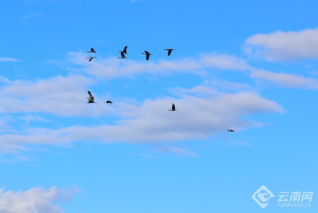 00306207789_4da5c3cc 00306207789_4da5c3cc