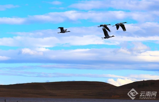 00306207790_b4109ba5 00306207790_b4109ba5