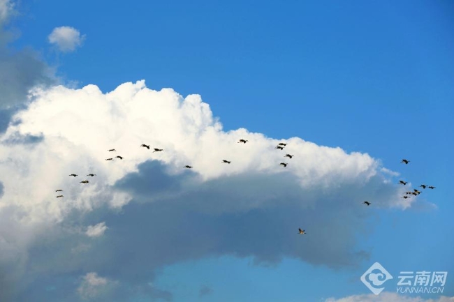 00306207792_94e83f5c 00306207792_94e83f5c