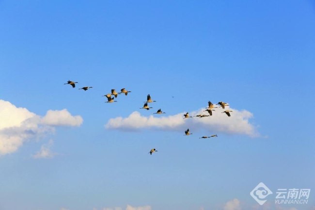 00306207793_69732f05 00306207793_69732f05