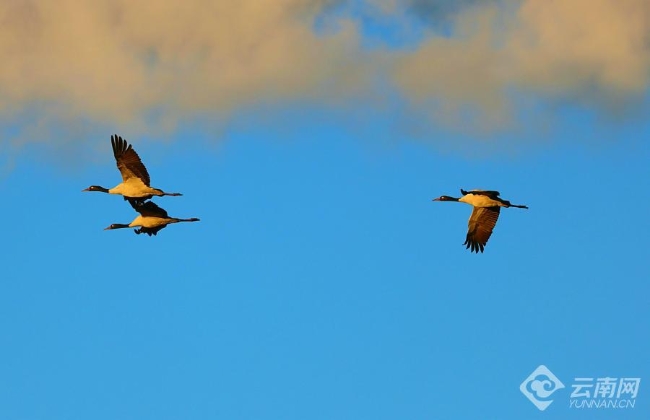 00306207797_f9b0061b 00306207797_f9b0061b