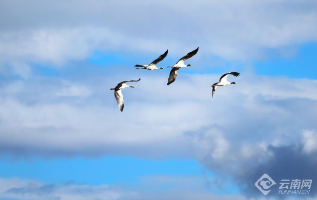 00306207798_d7ccf1a1 00306207798_d7ccf1a1