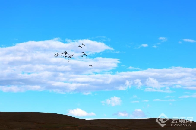 00306207800_68f7633f 00306207800_68f7633f