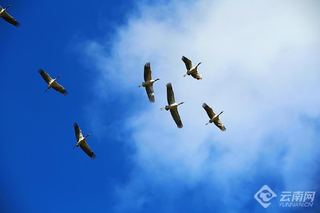 00306207821_63d03174 00306207821_63d03174