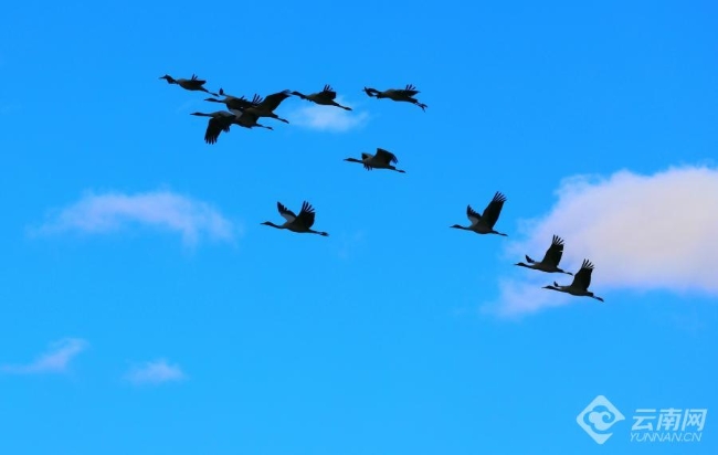 00306207822_7f838bcd 00306207822_7f838bcd