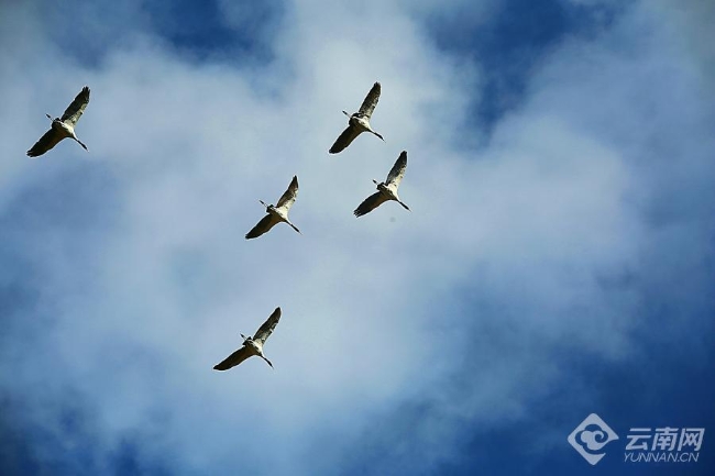 00306207827_b52f2542 00306207827_b52f2542