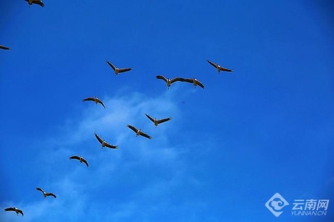 00306207829_e8bcf908 00306207829_e8bcf908