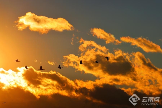 00306207836_45ffce5b 00306207836_45ffce5b