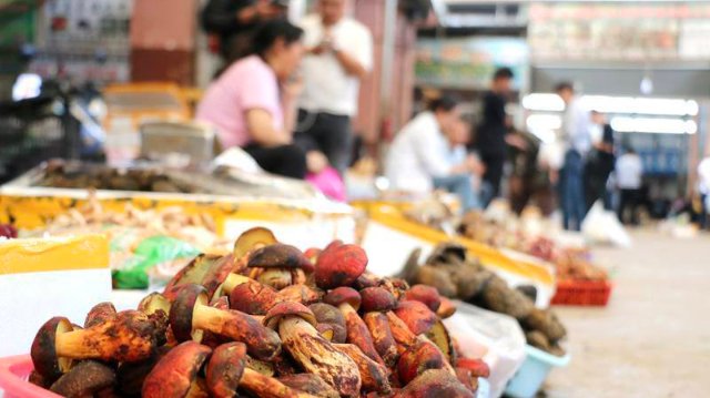 云南木水花野生菌市场菌飘香（图源 云新闻）