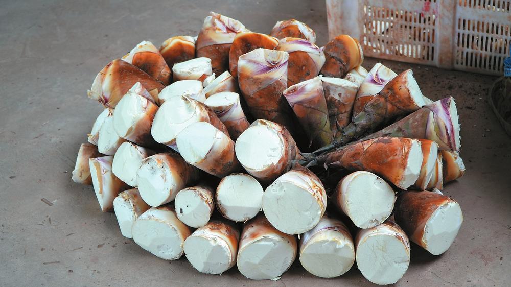 普洱甜笋产业大有可为