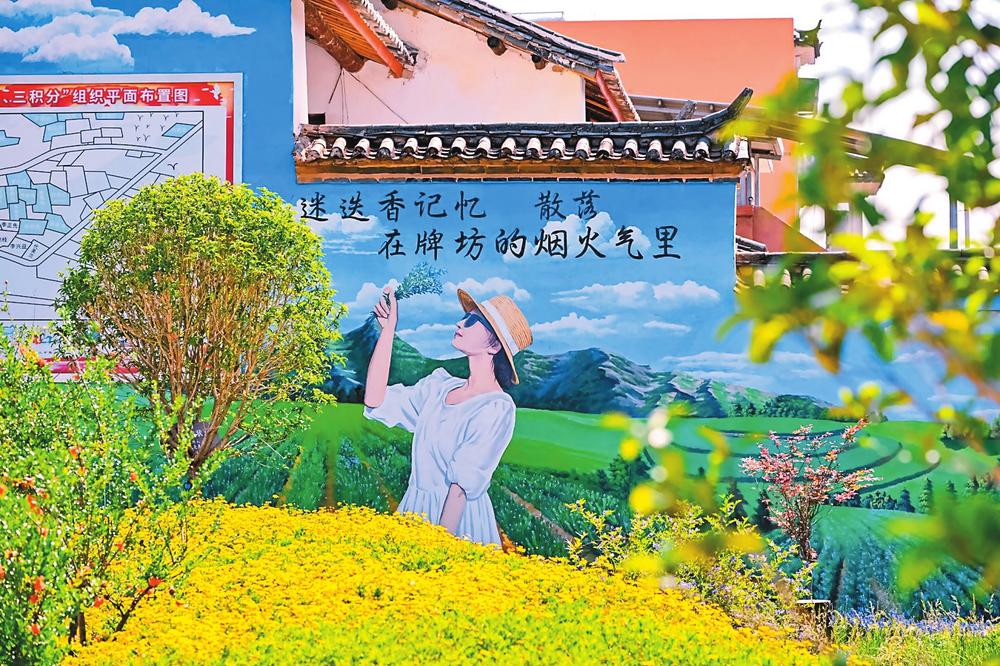 牟定县着力建设宜居宜业和美乡村——内外兼修绘新景_昆明信息港