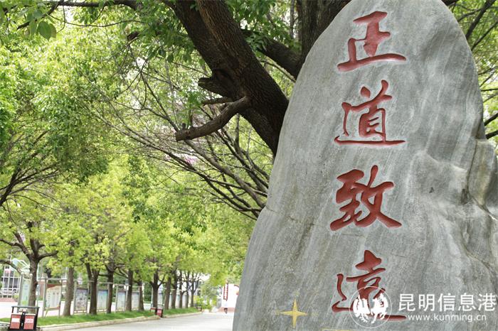 环城南路校区文化石