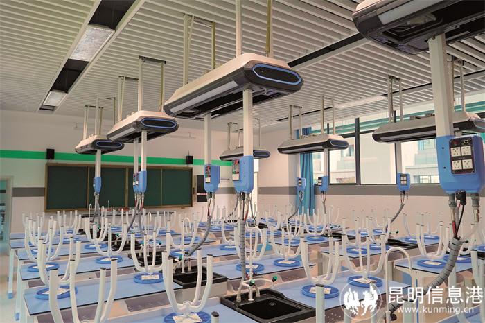 33、生物 33、生物