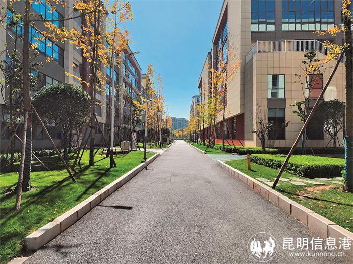 学校图片 学校图片