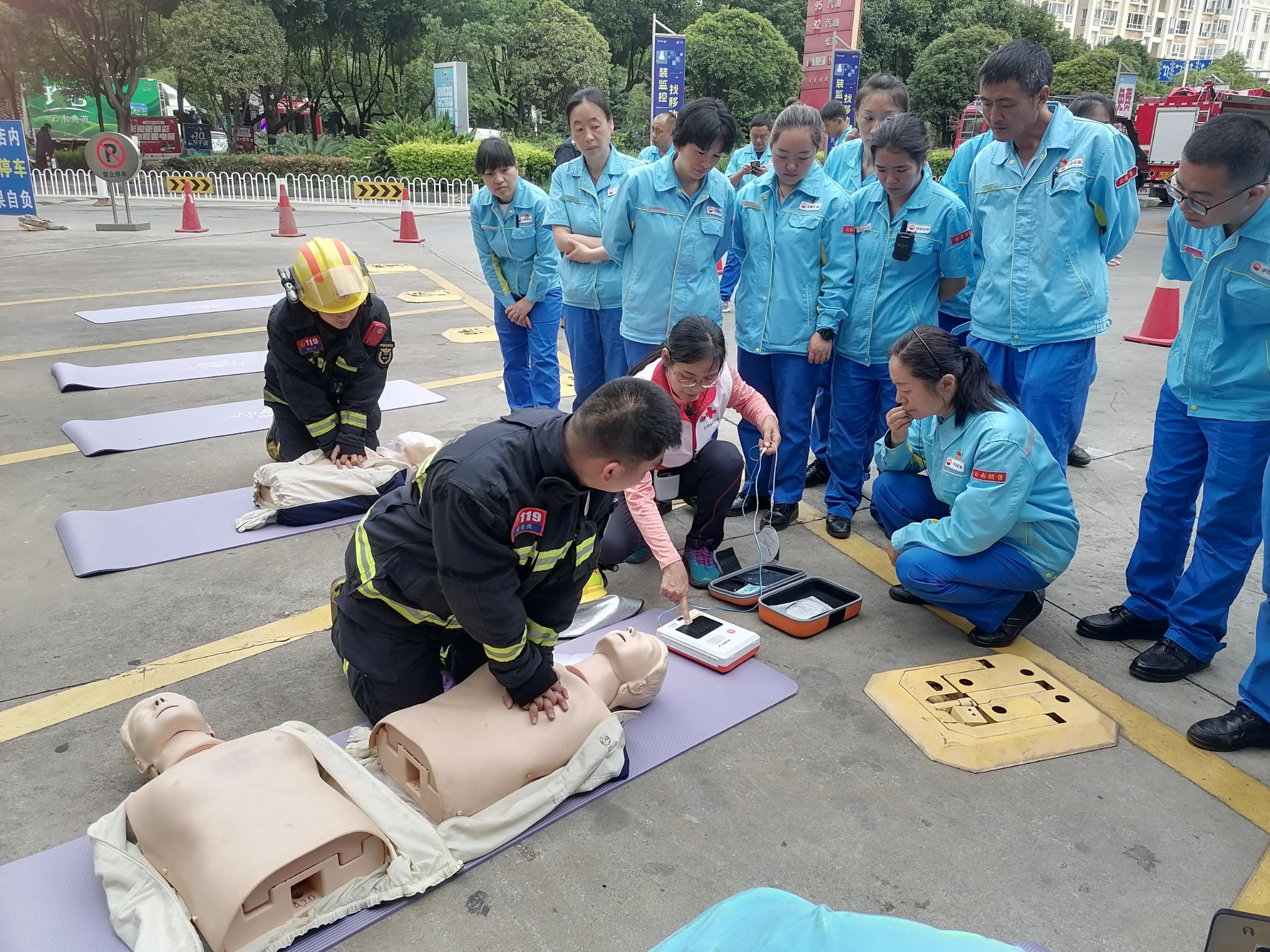 IMG_20240614_095230(3) IMG_20240614_095230(3)