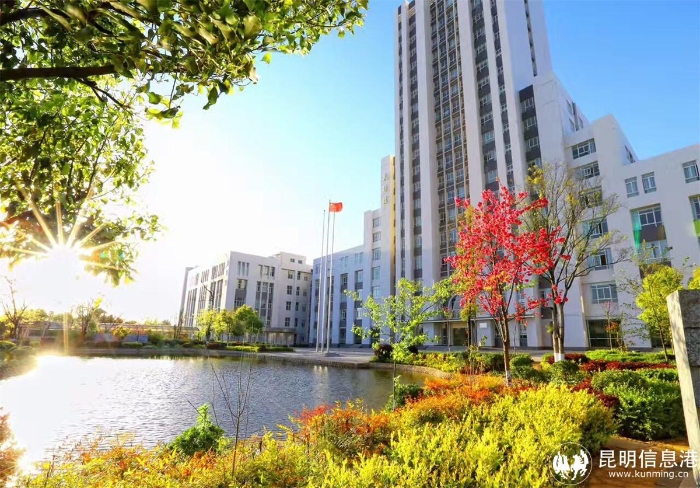 01页-高新校区4 01页-高新校区4