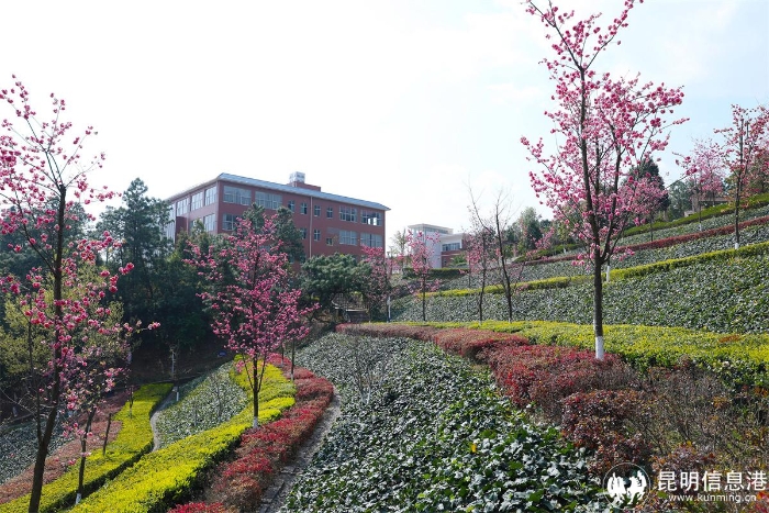 校园美景 校园美景