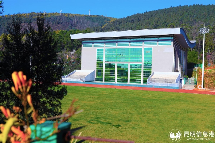 运动场-体育馆 运动场-体育馆