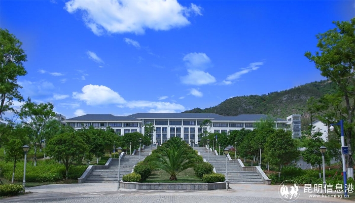 行政办公楼5 行政办公楼5