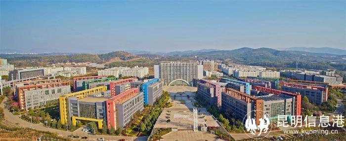 1616373_700x700 1616373_700x700