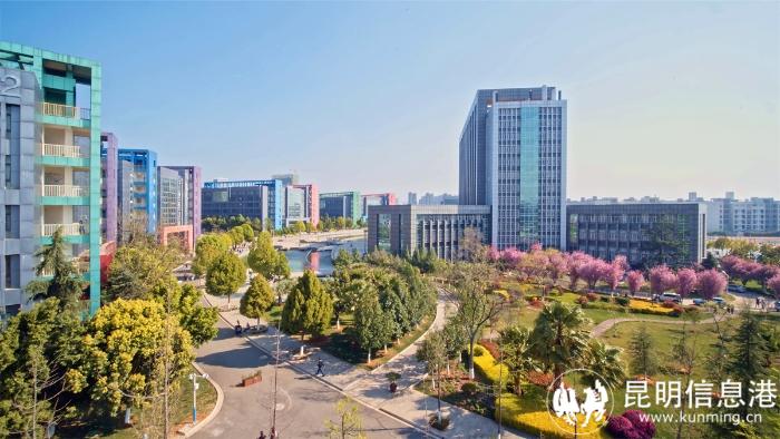 1616374_700x700 1616374_700x700