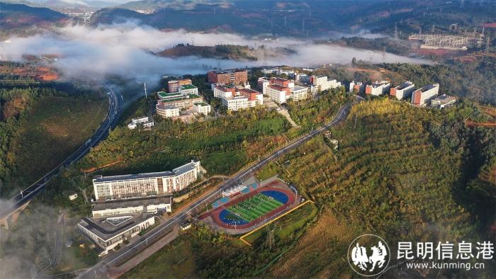 1611670_700x700 1611670_700x700